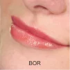 Губная помада Wamiles Cosmetics Face The Lipstick BOR 2,8 г - 2