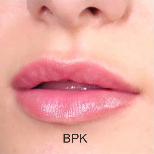 Губна помада Wamiles Cosmetics Face The Lipstick BPK 2,8 г