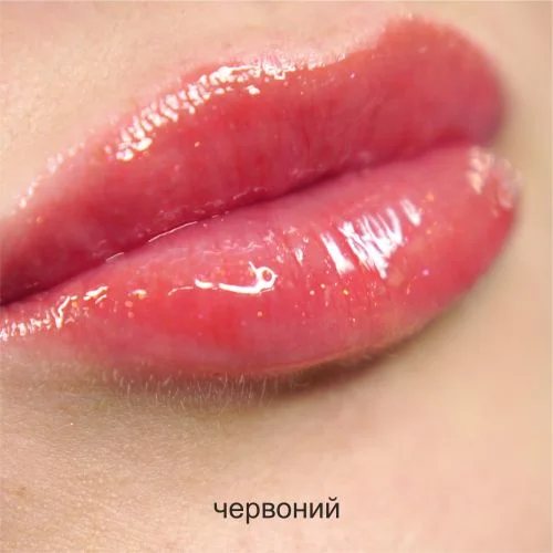 Блиск для губ колір Benitsubaki Wamiles Cosmetics Face The Oil Rouge Benitsubaki