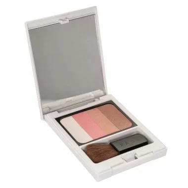 Рум'яна для обличчя Wamiles Cosmetics Face The Glow On Brush